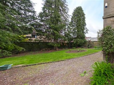 Picture 38